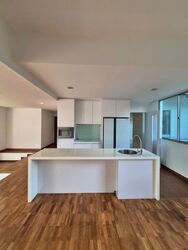 Nassim Regency (D10), Condominium #555011421